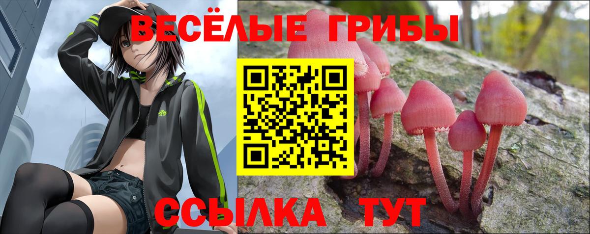 Гашиш  ГАШИШ  Гай  COCAIN  NBOMe  Канабис  КОКАИН  Вход с VPN  Меф кристаллы  Марихуана 