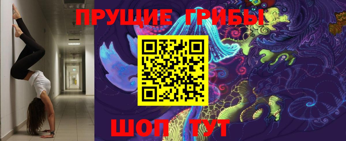 Галлюциногенные грибы Cubensis Гай